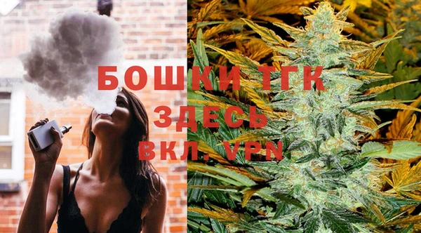 эйфоретик Каменка