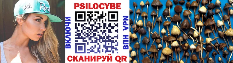 наркошоп  Вилючинск  Псилоцибиновые грибы ЛСД 